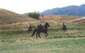 Festival of the American West 2003