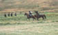 Festival of the American West 2003