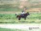Festival of the American West 2003