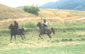 Festival of the American West 2003