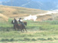 Festival of the American West 2003