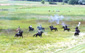 Festival of the American West 2003
