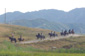 Festival of the American West 2003