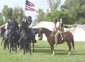 Festival of the American West 2003