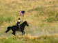 Festival of the American West 2003