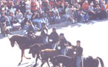 Horse Care
